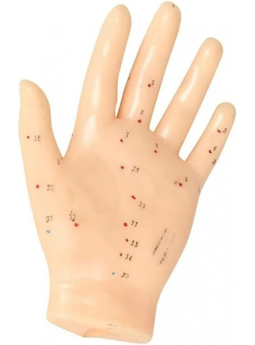 Mano con puntos de acupuntura 2
