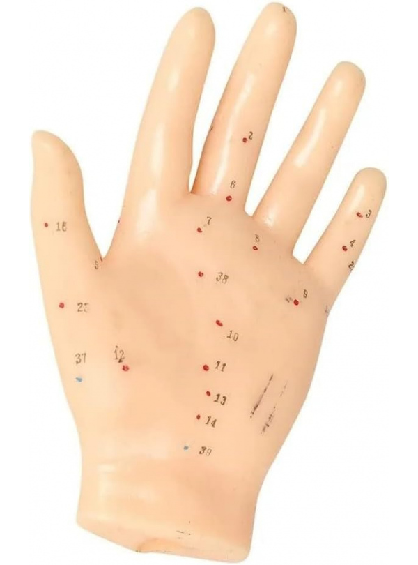 Mano de Caucho para Acupuntura