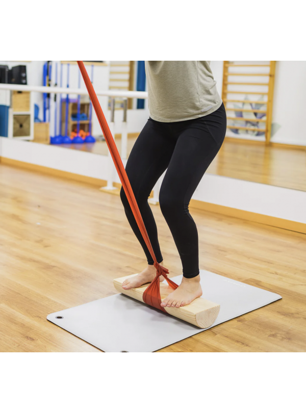 Tronco de Propiocepción de Eutonía