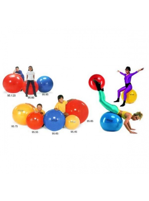Balones Gymnic 2