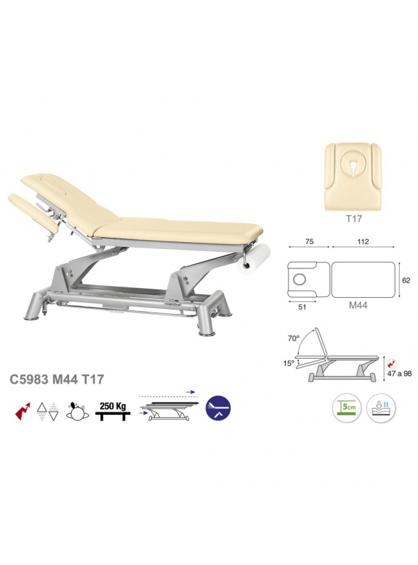 Camilla eléctrica biela gris 2 cuerpos T16 62x188