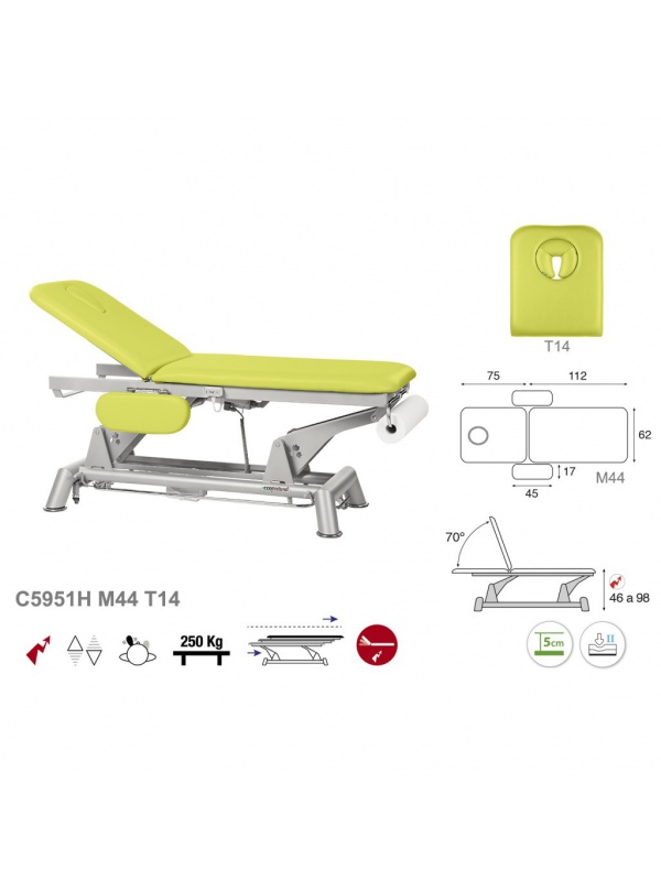 Camilla eléctrica biela gris 2 cuerpos con respaldo motorizado T13 62x188