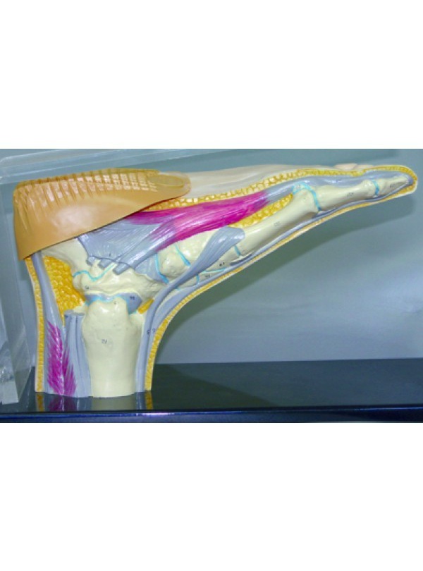 Taloneras Tuli's Classic