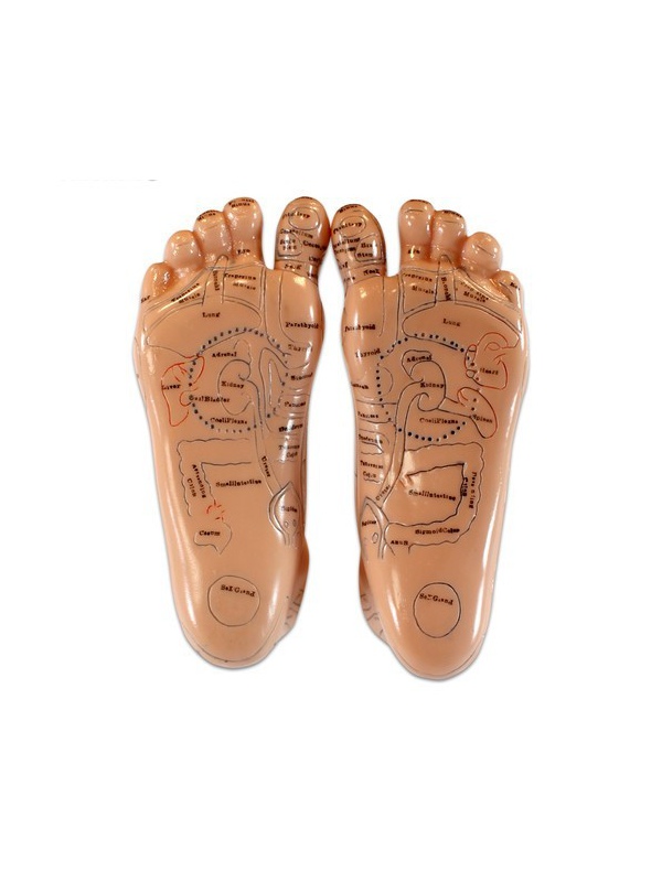 Pies para reflexología (20cm)