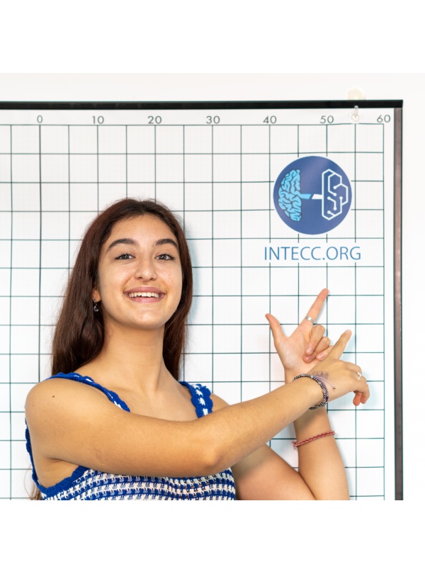 Cuadrícula de Evaluación Postural