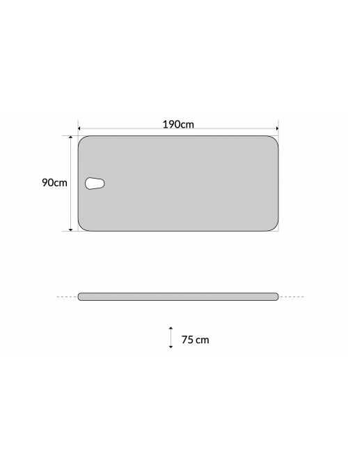 Camilla fija 1 sección especial para obesos. 2